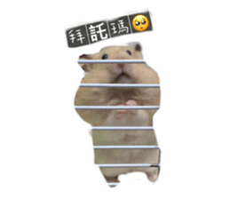 619319800