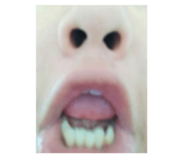 619326787