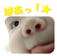 619431733