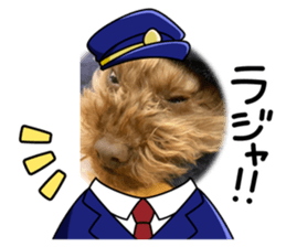 619518576