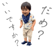 619566014