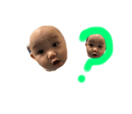 619568801