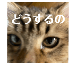 619572984