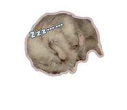 619590672
