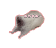 619590675