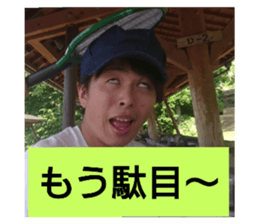 61961353