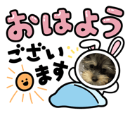619618136