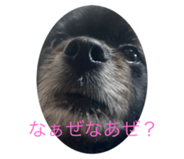 619635370
