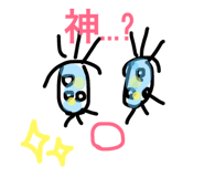619786646