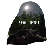 619787484