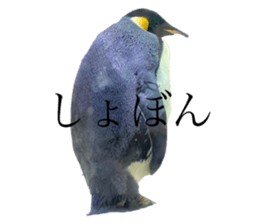 619799930