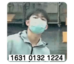 619805981