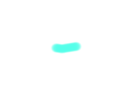 619817096