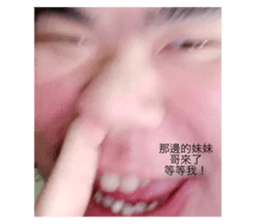 619858741
