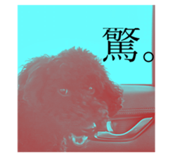 619896312