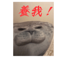 619918874