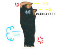 619998031