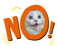 620031246