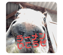 620067388