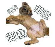 620170537