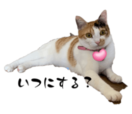 620171438