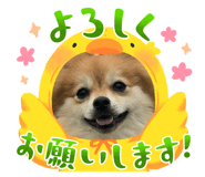 620172287