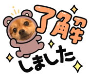 620172291