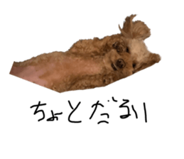 620180689