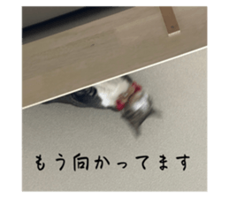 620206741