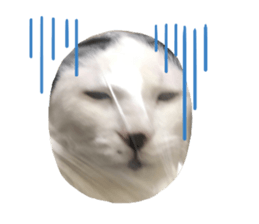620230186