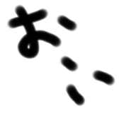 620328732