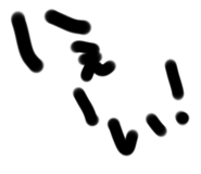 620328736