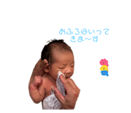 620346861
