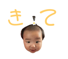 620346878
