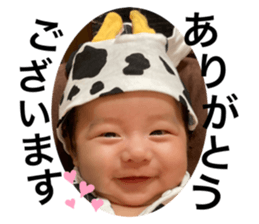 620358521