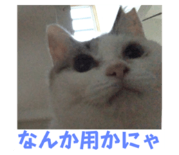 620368789