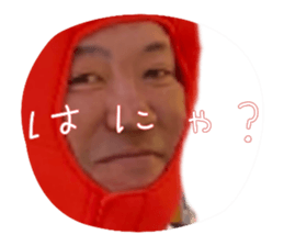 620388494