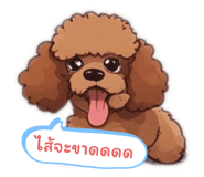 620408815