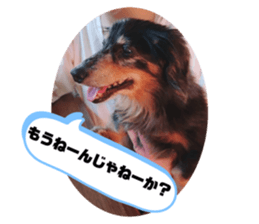 620435611