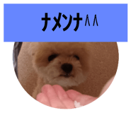 620460259