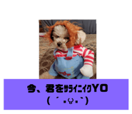 620460262