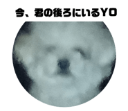 620460268