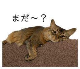 620477054