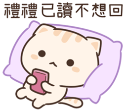 620508213