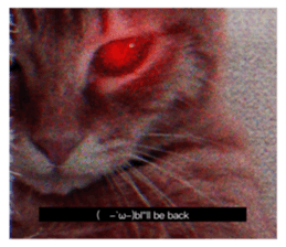 620531177
