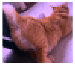 620531183
