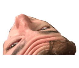620539894