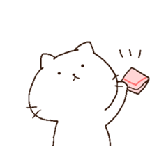 6205455