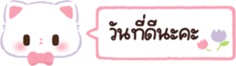 620574009