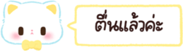 620574032